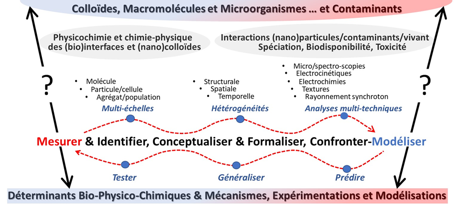 Diagramme Physi