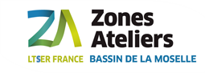 logo ZAM