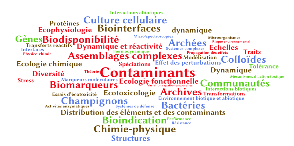 nuage de mots